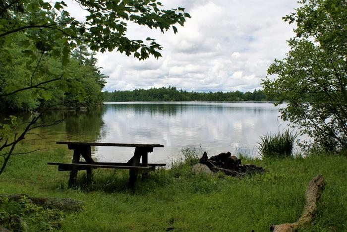 Picnic area at Trout Lake (Credit: https://hikingthetrailtoyesterday.wordpress.com/)