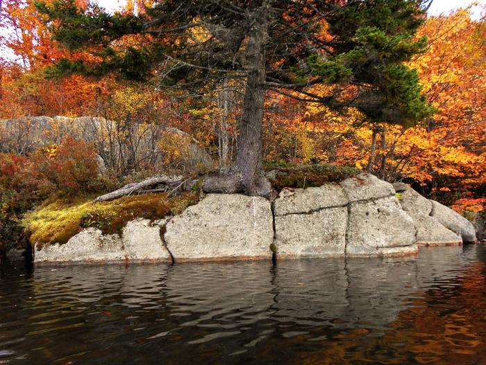 Plenty of interesting natural sights to enjoy (Credit: https://hikingthetrailtoyesterday.wordpress.com/)