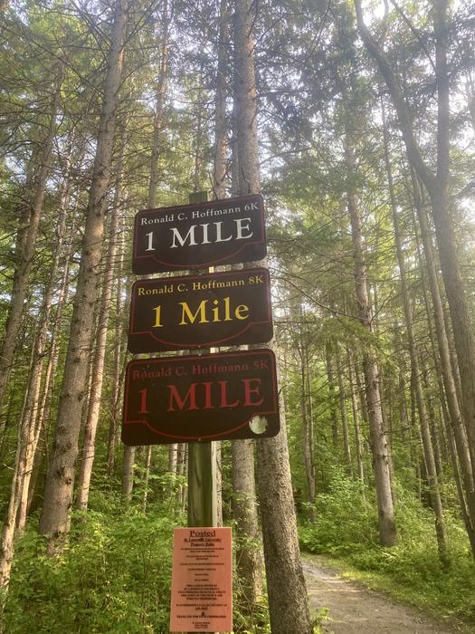 (Credit: STLC Chamber)