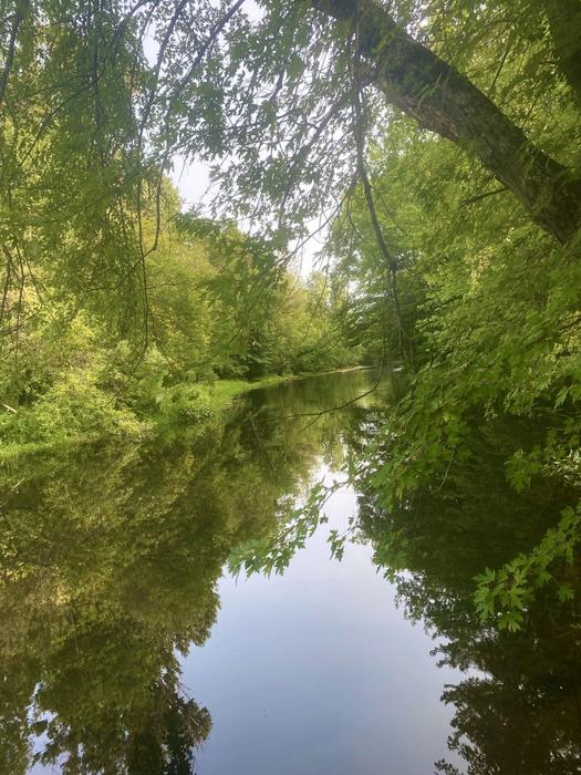 (Credit: STLC Chamber)