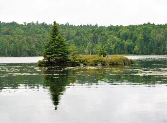 Along the Eastern High Falls loop -views of Dead Creek Flow (Credit: Wm.Hill/Hiking the trail to Yesterday)