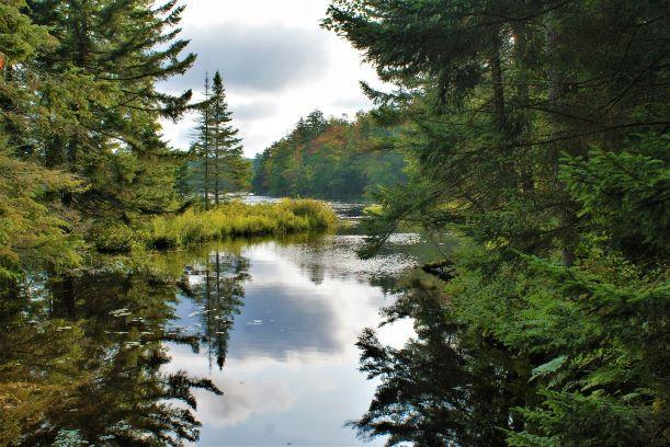 Along the Eastern High Falls loop -views of Dead Creek Flow (Credit: Wm.Hill/Hiking the trail to Yesterday)