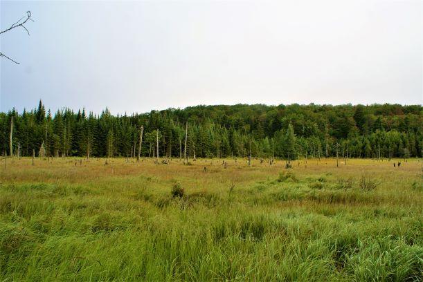 Along the western High Falls loop (Credit: Wm.Hill/Hiking the trail to Yesterday)