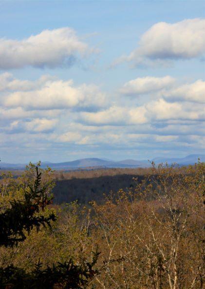 Views from Tooley Pond Mt (Credit: Wm Hill/Hiking the trail to yesterday)