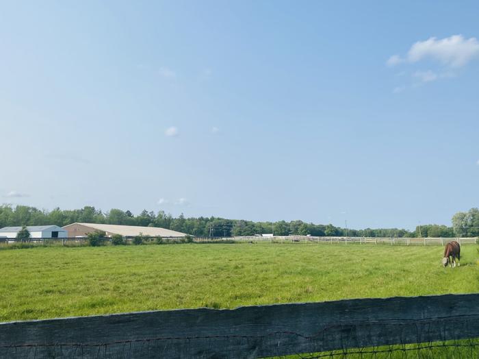 (Credit: STLC Chamber)