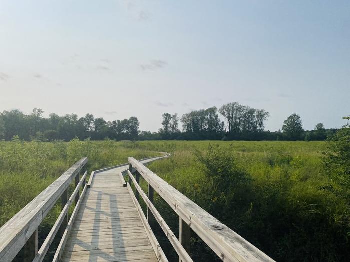 (Credit: STLC Chamber)