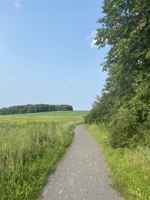 (Credit: STLC Chamber)