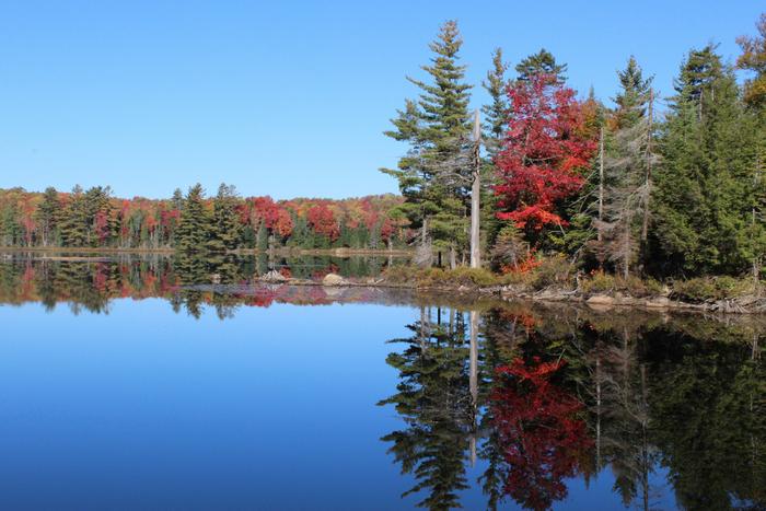 Cranberry Lake near the Ranger School (Credit: Clifton-Fine ADK)