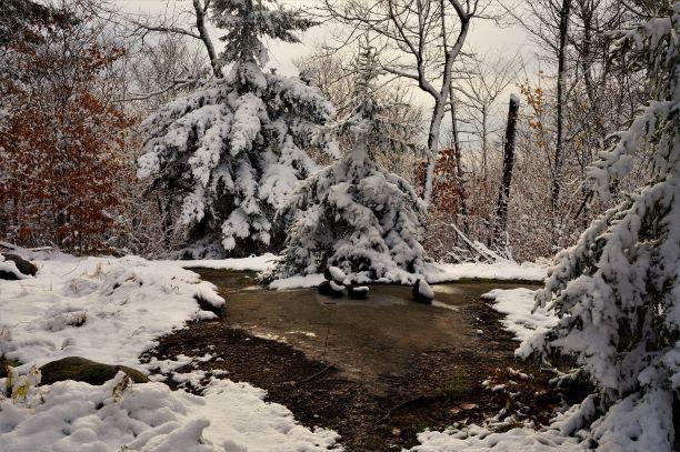 Summit of Bear Mt (Credit: Wm.Hill/Hiking the trail to Yesterday)