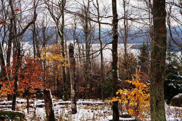 Views of Cranberry lake (Credit: Wm.Hill/Hiking the trail to Yesterday)
