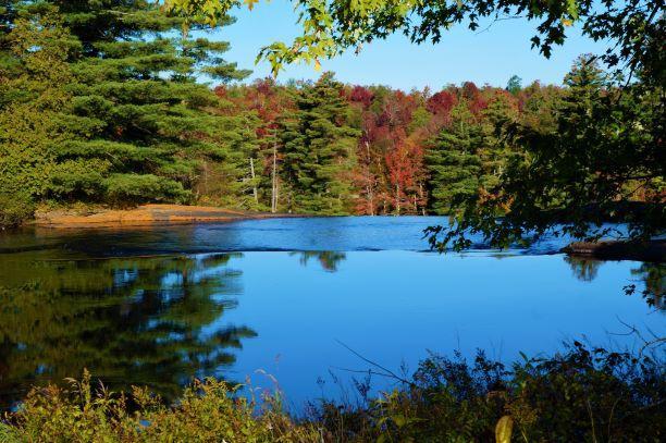 from the top of the falls (Credit: Wm Hill/Hiking the trail to yesterday)