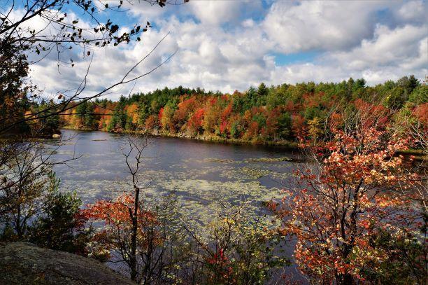 A great overlook along the Beaver Pond trail (Credit: Wm Hill/Hiking the trail to Yesterday)