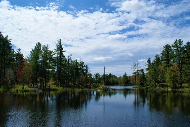Along the Beaver Ponds trail (Credit: Wm Hill/Hiking the Trail to Yesterday)