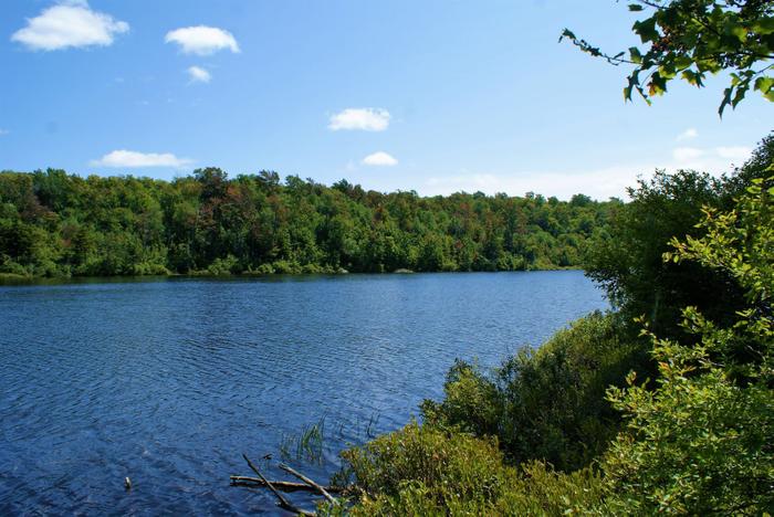 Summer on Nick's Pond (Credit: https://hikingthetrailtoyesterday.wordpress.com/)
