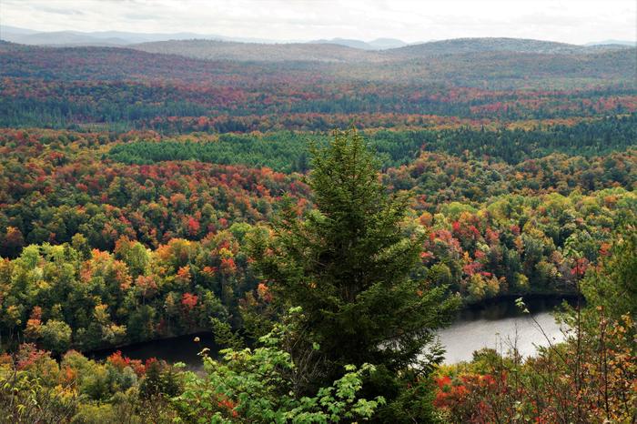 The Bog River in autumn (Credit: https://hikingthetrailtoyesterday.wordpress.com/)