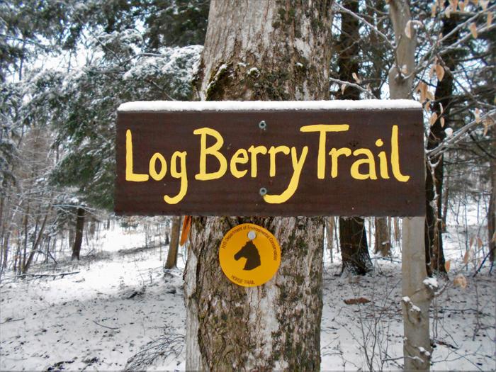 The Log Berry Trail branches off from the Chisholm Trail. (Credit: https://hikingthetrailtoyesterday.wordpress.com/)
