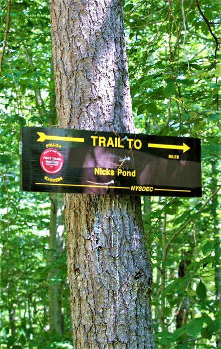 The sign to Nick's Pond (Credit: https://hikingthetrailtoyesterday.wordpress.com/)