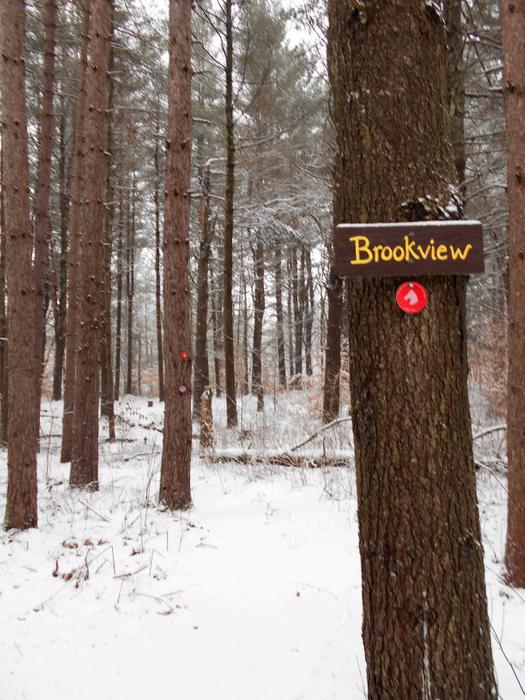 The start of the Brookview Trail. (Credit: https://hikingthetrailtoyesterday.wordpress.com/)
