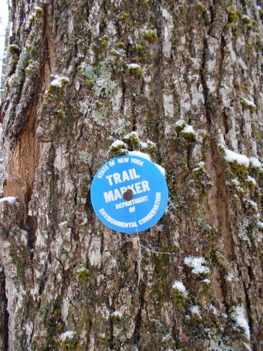 The trail is marked in blue. (Credit: https://hikingthetrailtoyesterday.wordpress.com/)