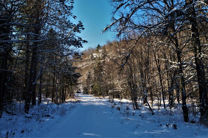 The trail through the boreal forest  has plenty of views around every corner. (Credit: https://hikingthetrailtoyesterday.wordpress.com/)