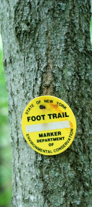 The trail to the Cedar Lake Overlook is marked in yellow. (Credit: https://hikingthetrailtoyesterday.wordpress.com/)