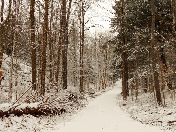 The wide trail is easily followed any time of the year. (Credit: https://hikingthetrailtoyesterday.wordpress.com/)