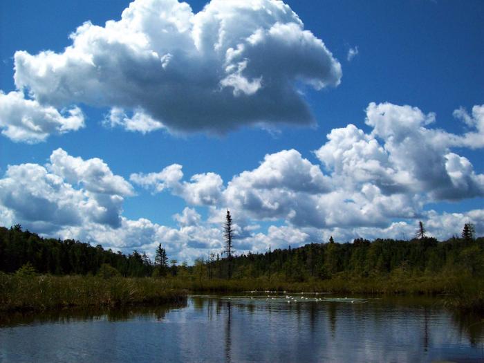 Tooley Pond Outlet (Credit: https://hikingthetrailtoyesterday.wordpress.com/)