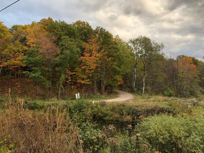 (Credit: Charles Shaw)