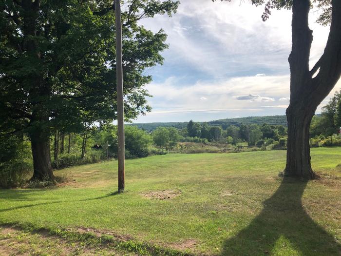 (Credit: Charles Shaw)