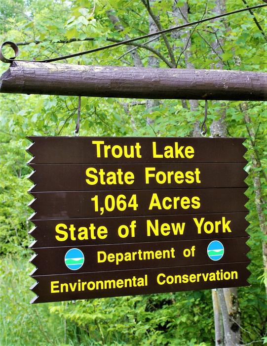 Trout Lake State Forest sign (Credit: https://hikingthetrailtoyesterday.wordpress.com/)