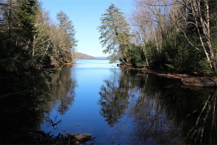 West Flow of Cranberry Lake (Credit: Clifton-Fine ADK)