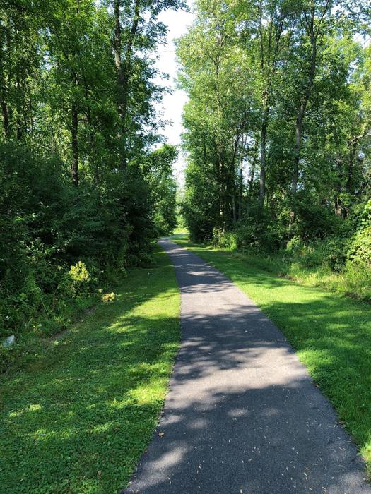 On the Whalen Park Trail