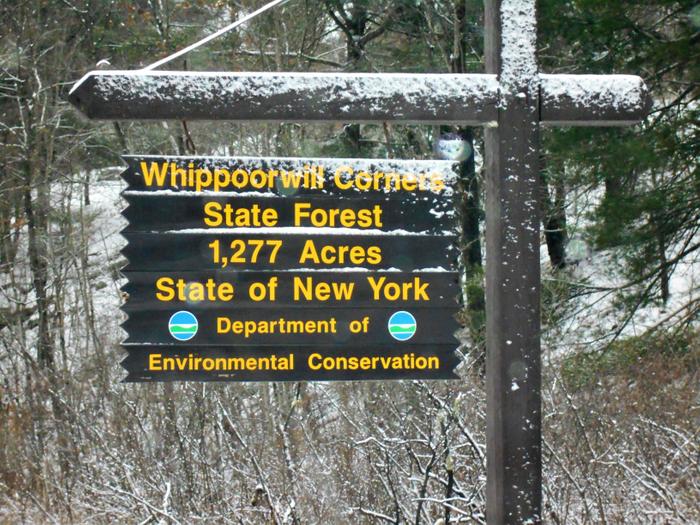 Whippoorwill State Forest (Credit: https://hikingthetrailtoyesterday.wordpress.com/)