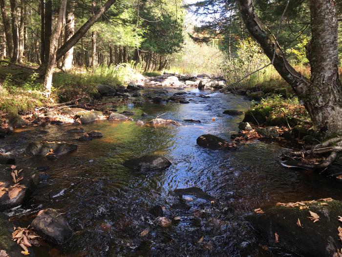 (Credit: Ethan Townsend)