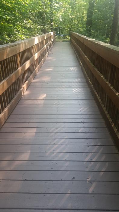 Accessible boardwalk (Credit: Nicandri Nature Center)