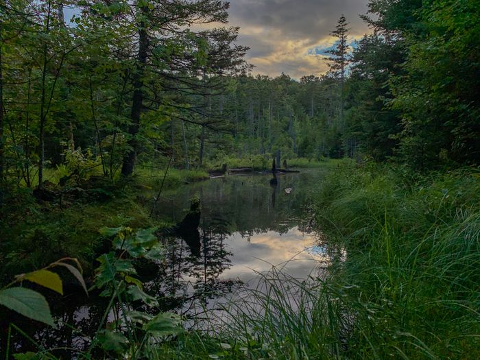 (Credit: Follow brian_hikes_all_day on Instagram!)