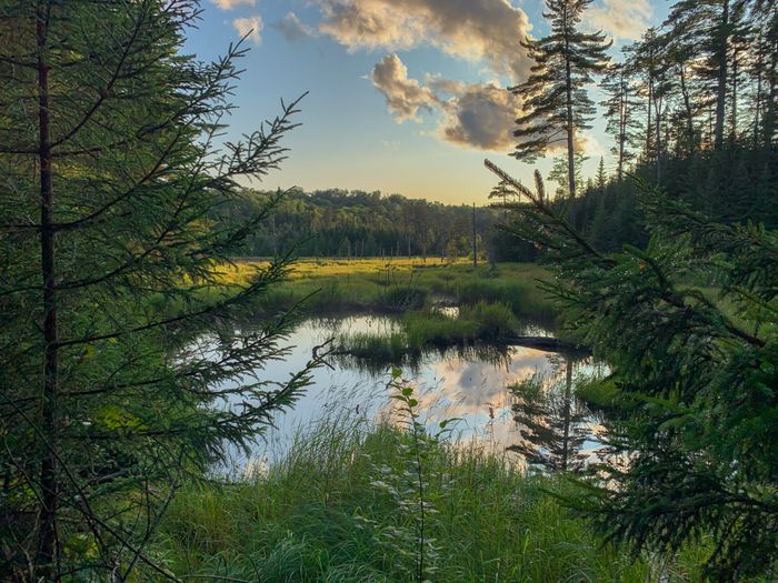 (Credit: Follow brian_hikes_all_day on Instagram!)