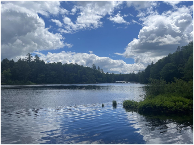 View of the Raquette River from the Jamestown Falls Access Area (Credit: Charles Shaw)