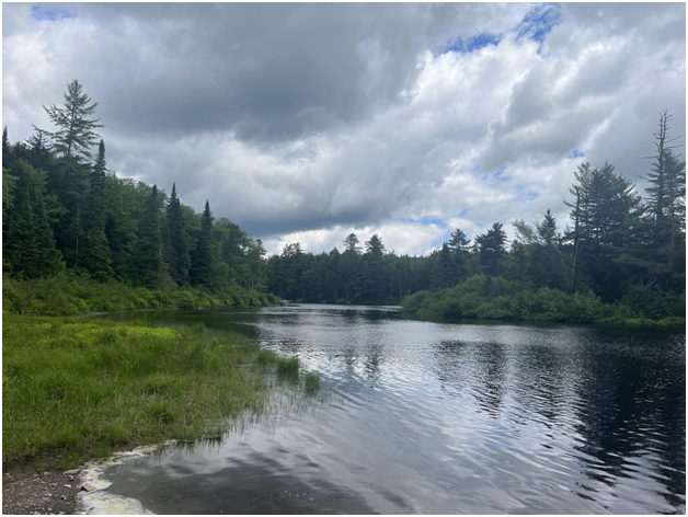 Another view of the river (Credit: Charles Shaw)