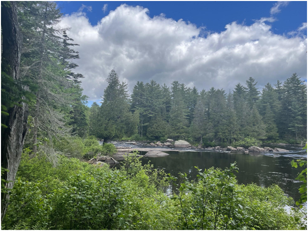 View of the Raquette River (Credit: Charles Shaw)
