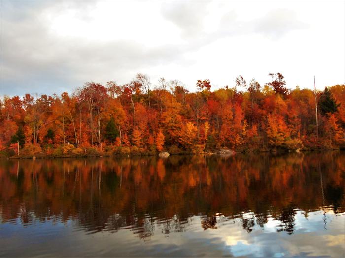 Nick's Pond in the fall (Credit: https://hikingthetrailtoyesterday.wordpress.com/)