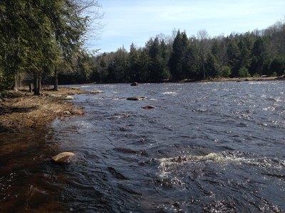 West Branch of the St. Regis River (Credit: Nature Up North)