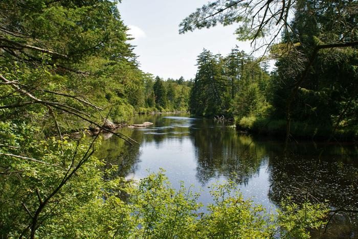 The Oswegatchie river along the trail (Credit: Credit: Wm Hill- Hiking the trail to yesterday)