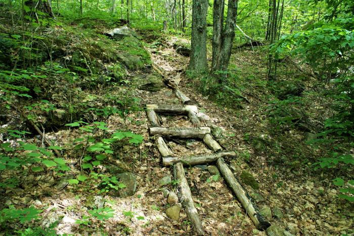 Trail to the overlook (Credit: https://hikingthetrailtoyesterday.wordpress.com/)