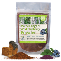 Maine Chaga & Wild Blueberry Tea Powder 1.5oz