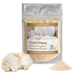 Lion's Mane Mushroom Powder