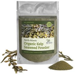 Organic Kelp Seaweed Powder (2oz)