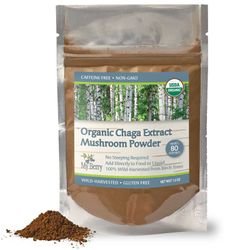 Organic Chaga Extract Mushroom Powder (1.5oz)