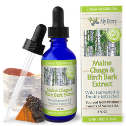 Maine Chaga & Birch Bark Extract 2oz