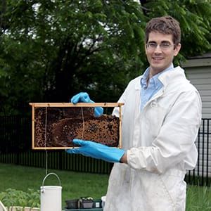 Mark with a honey bee hive
